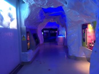 The Deep Ice tunnel