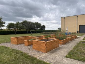 Wooden planters in rows of 3 by 4, laid out on gravel path with concrete path around two sides. 