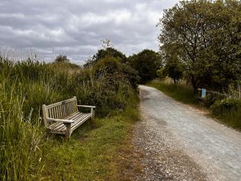 Bench located along the Coastal Trail