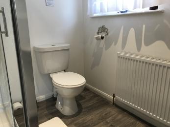Toilet without the raised seat