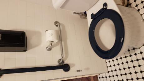 Loo showing grab rails and handles