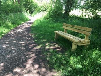 Lower trail footpath to Lower hide showing bench