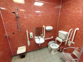 Maple disabled toilet with handrails, shower, shower seat, toilet, sink and separate chair.