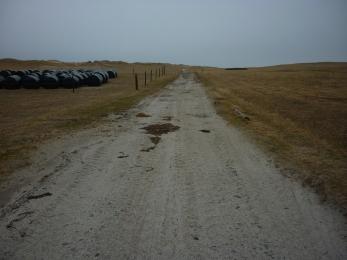 Wide sandy track, also used by vehicles. 