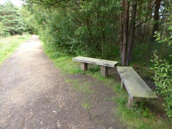 Benches on the Sensory Trail