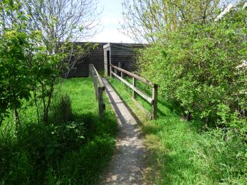 The path and ramp approaching the Lapwing Hide from the car park