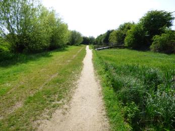 The main reserve has laid paths and is pushchair and wheelchair accessible, with some narrow grass edges