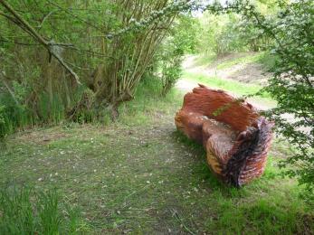 There are several benches along the paths, including this hand-carved redwood bench overlooking a dragonfly viewpoint