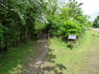Access to the Kingfisher loop via a boardwalk, or the natural dirt/gravel path on the reserve