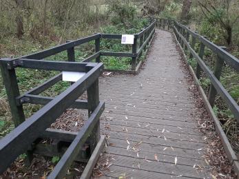 A passing place on wooden walking bridge