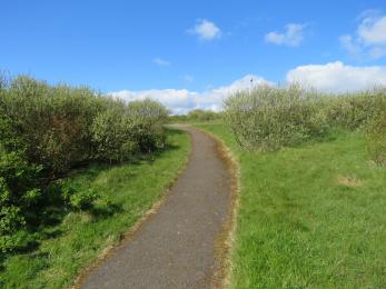 Path from car park to bench