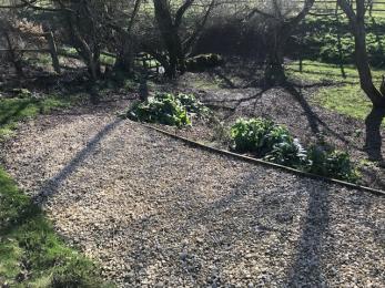 Gravel and wood chip path to private garden