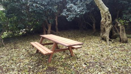 Picnic bench in pleasure grounds