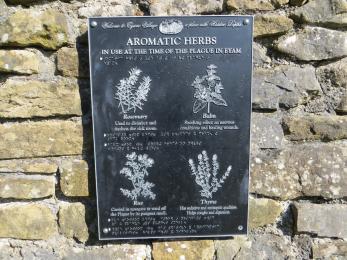 Plague herb bed information including Braille