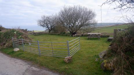 Polrunny Farm's breakfast garden, a grassed area with views across fields to the sea.