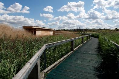 A section of boardwalk on the reserve near the Purfleet hide