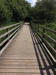 Reed edge trail boardwalk showing hand rails and slope