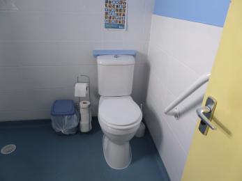 Toilet as viewed from door with handrail.