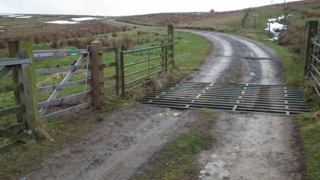 Cattle Grid on the Main Access Road to Stagsike Visitor Centre