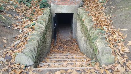 Steps down to ice house entrance