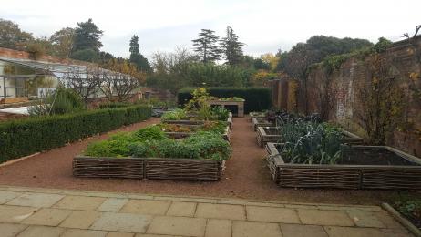 Vegetable plots in walled garden
