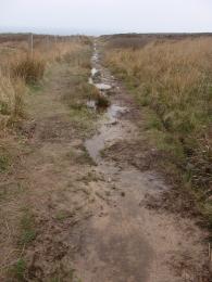 Wet section on Moorland Trail
