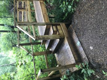 Woodland walk bridge with steps