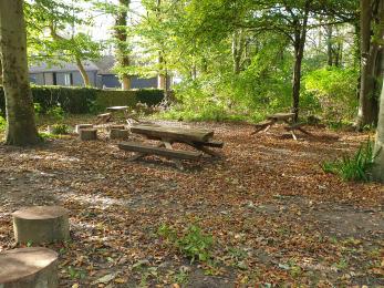 Some picnic benches in north, forest car park area.