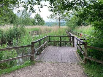 Pond dipping platform showing no step access, board walk area with fencing along the edge of the boardwalk