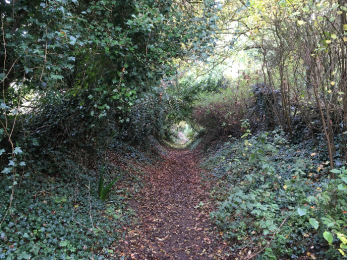 Path from road to riverbank path showing slope