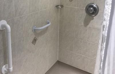 Wet room shower with handrails