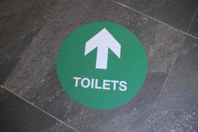 Example of toilet direction stickers.
