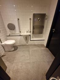 Image of the accessible toilet