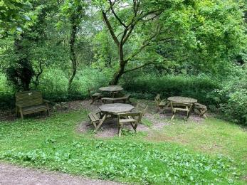 Woodland picnic area showing approach and picnic tables with space for wheelchair