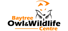 Baytree Owl and Wildlife Centre Logo