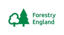 Logo for Forestry England