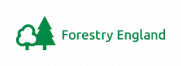 Forestry England logo showing two green trees
