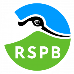 RSPB Logo. Avocet on a blue and green background. 
