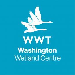 WWT Washington Wetland Centre logo