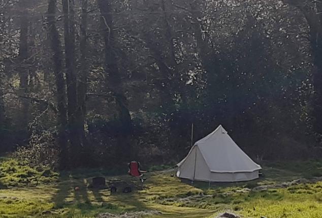Bell tent in the Hay Meadow next to the river and the woods