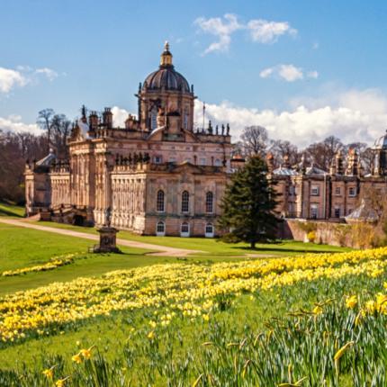 A view of Castle Howard with spring flowers in the foreground 