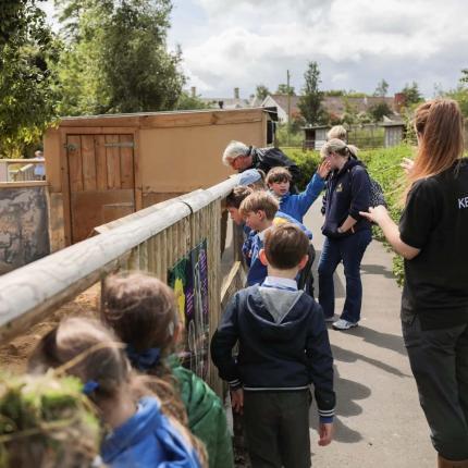 visitors looking into the meerkat enclosure 