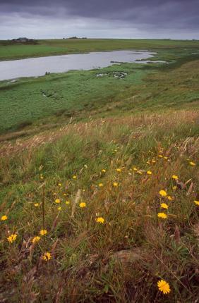 Orkney, Mill Dam RSPB Reserve, general view by Andy hay