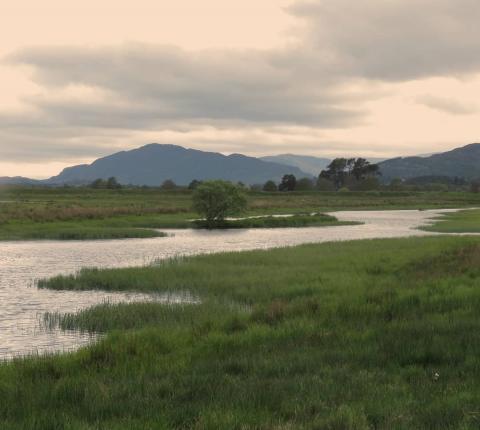 View of Insh Marshes